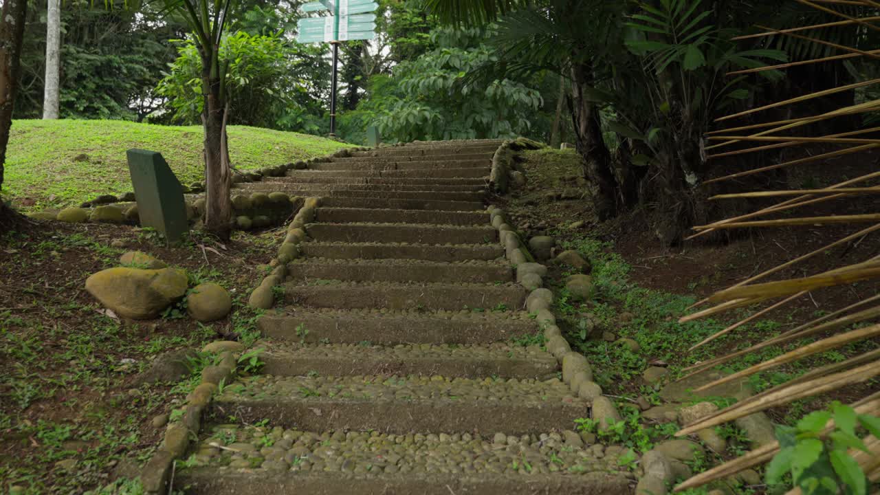 Stone steps ascending through a natural park