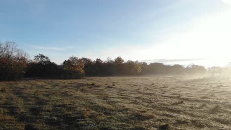 Mysterious-forest-sunbeam-from-the-side-shining-through-the-fields-as-flying-through