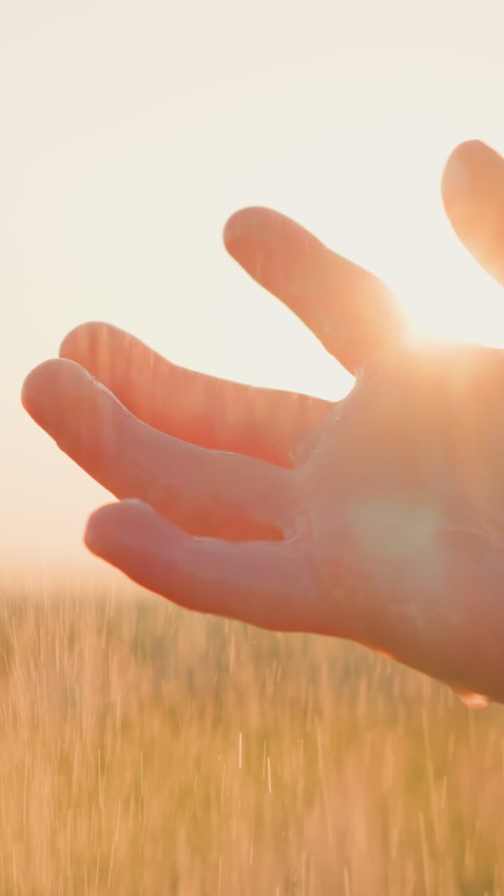 Boy hands serve as vessels collecting rain. Child connection to natural world deepens immersing in beauty of spring rainfall. Gentle touch of rain