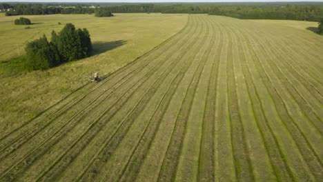 aerial drone fotoage orbiting and spinning around a small and old tractor mowing and cutting hay or crop at a farmfield during a summer sunny day, beautiful straight lines across the field visible