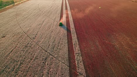 Drohnenansicht-Eines-Traktors,-Der-Baumwolle-Erntet