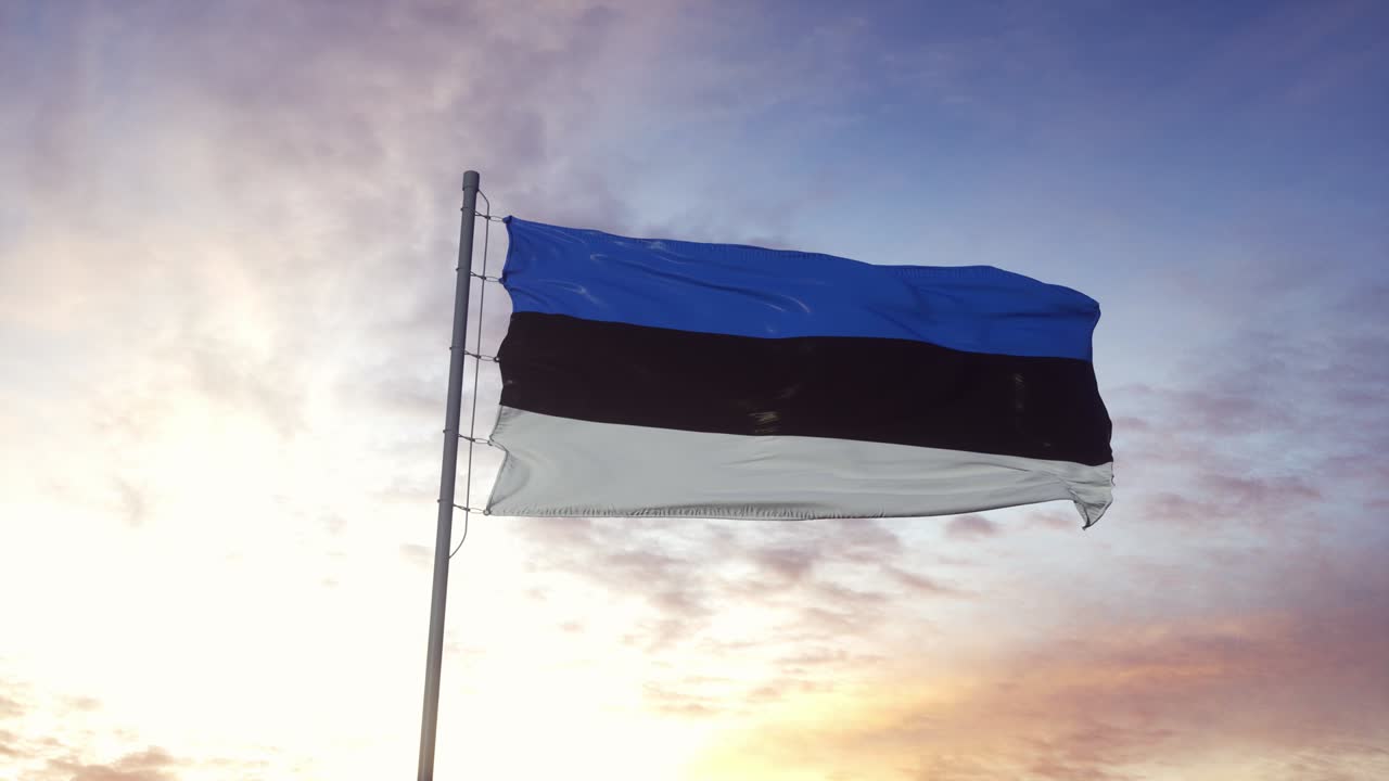 에스토니아 발이 바람에 흔들리고, 극적인 하늘 배경.