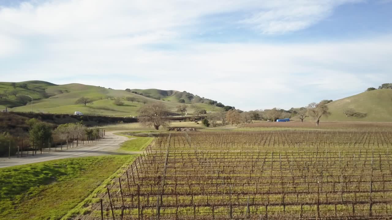 toma aérea del viñedo californiano, campo remoto en el día de verano