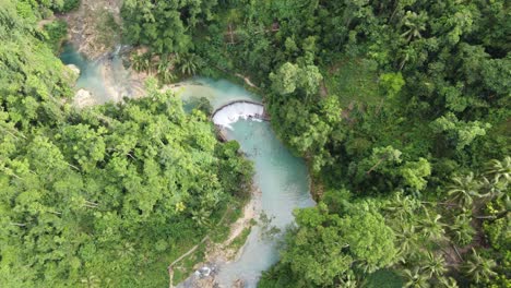 people canyoneering at kawasan falls in badian amid tropical jungle