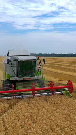 aerial view of summer harvest. drone view of combine harvester on the field of wheat. vertical video