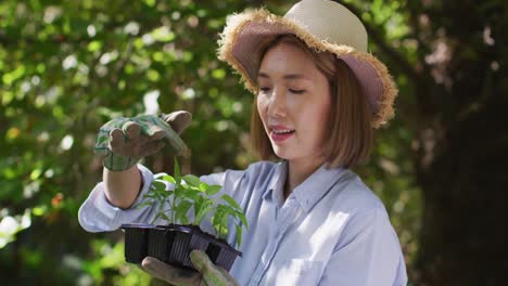 asian woman gardening and smiling on sunny day