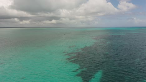 aerial flying over turquoise seascape in zanzibar