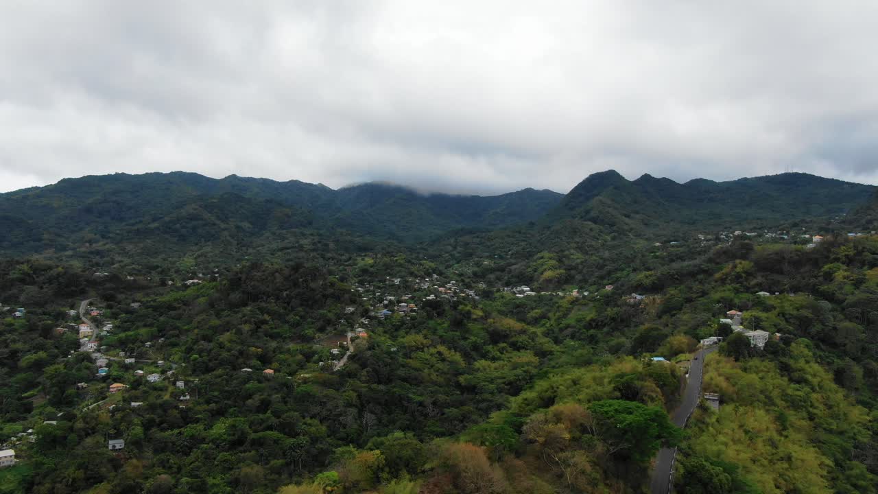 Lussureggiante foresta pluviale di Grenada con case sparse, cielo nuvoloso, vista aerea