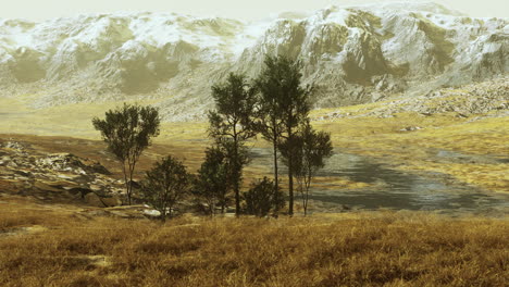 serene mountain landscape with sparse vegetation and calm water