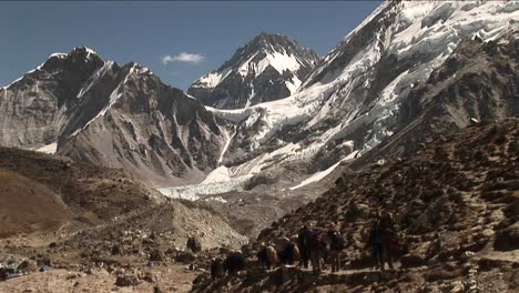 yaks and porters heading out