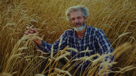 farmer in a wheat field