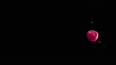 raspberries falling into water super slowmotion, black background, lots of air bubbles, 4k240fps