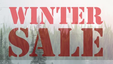 animation fo winter sale text over meadow