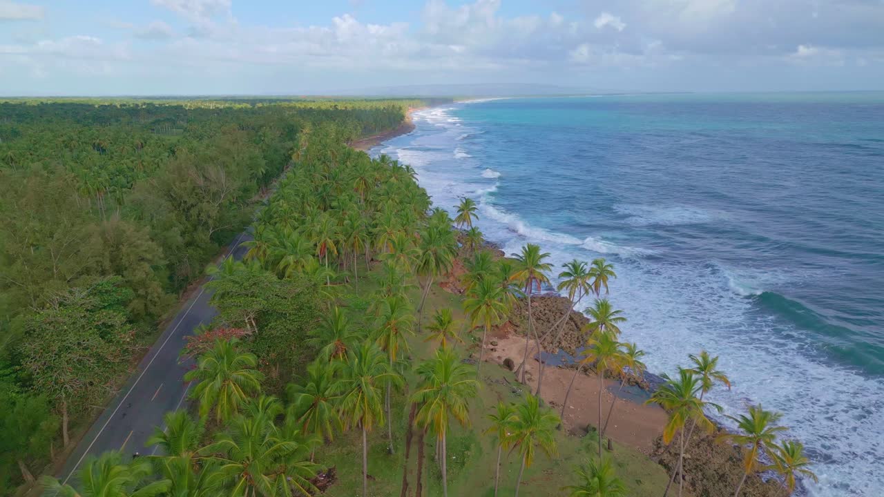vuelo aéreo de drones sobre la carretera costera con palmeras a lo largo de la playa de arena con el mar caribe - nagua, provincia maria trinidad sanchez