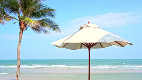 Eine-Palme-Und-Ein-Sonnenschirm-Spenden-Jedem-Am-Strand-Schatten