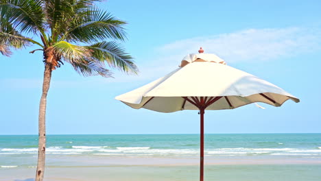 una palmera y una sombrilla de playa ofrecen sombra a cualquiera en la playa