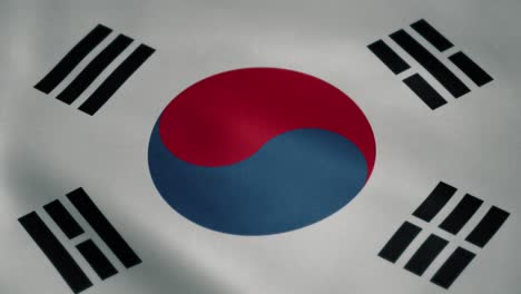 Flagge-Von-Südkorea-Flagge