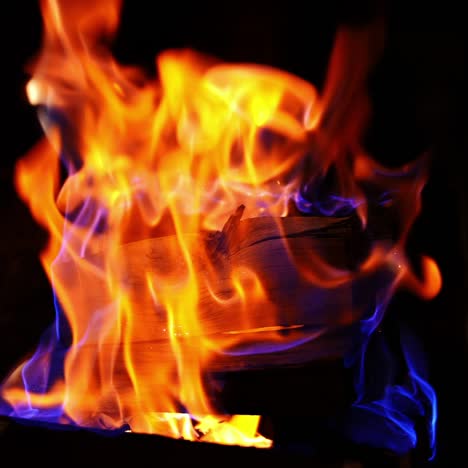 beautiful bright fire flames. wooden logs are burning in red and yellow fire on dark background. close-up