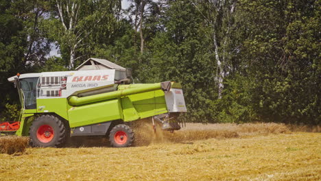 harvesting with combine harvester. combine harvester processing of large wheat field