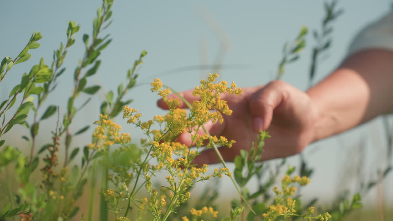 Lady in white hat and green dress crouched in sunny grassy field gently touching small yellow flower before photographing plant with camera strap hanging capturing delicate nature moments