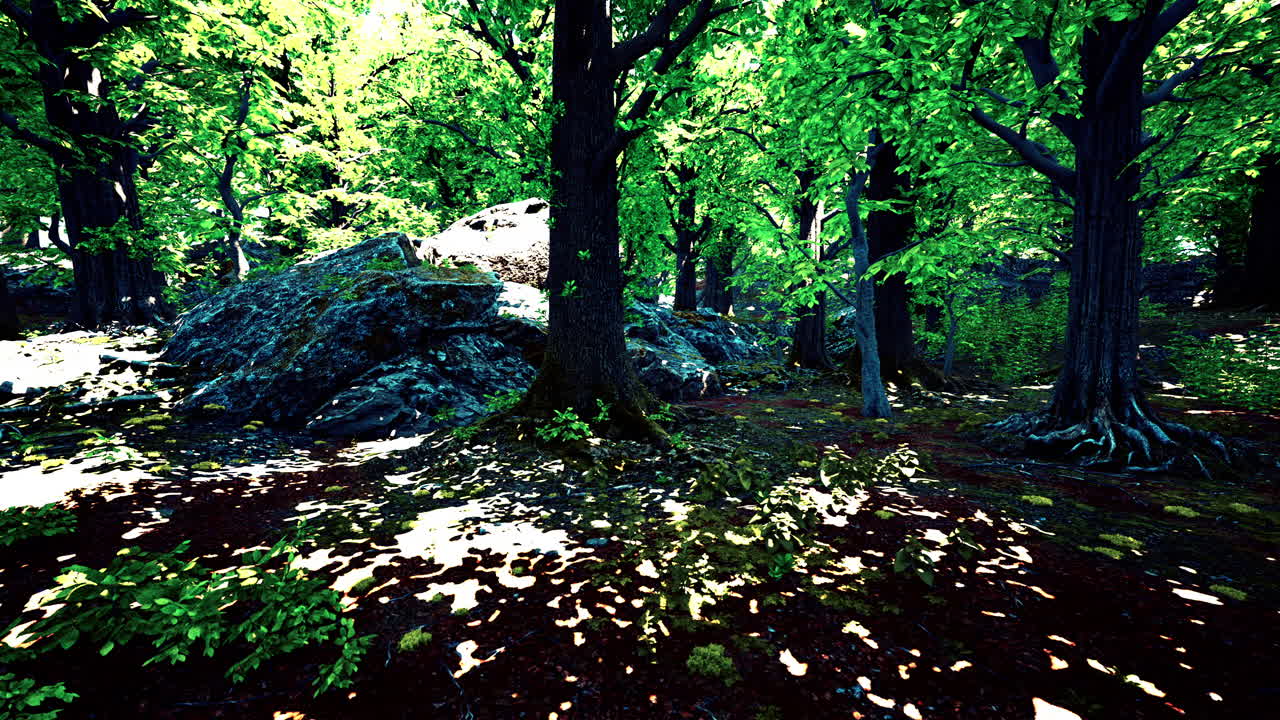 la luz del sol fluye a través de un bosque exuberante