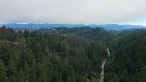 aerial drone flyover of the redwood forests, mountains and think clouds and fog in the horizon of northern california