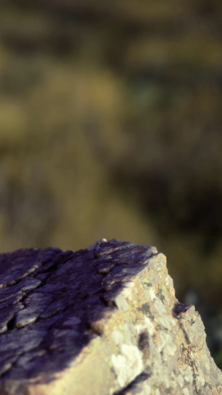 Sunset light illuminating the rugged surface of a stone in natures embrace
