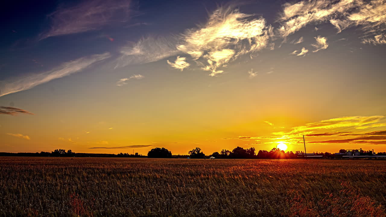 日出時に畑の上に照らされた明るい黄色い空
