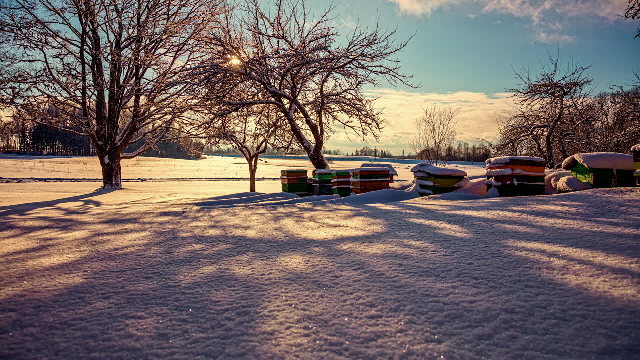 sombras de la primera vez que la luz del sol derrite la nieve timelapse