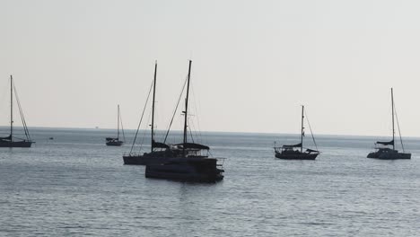 multiple sailboats floating on a tranquil sea