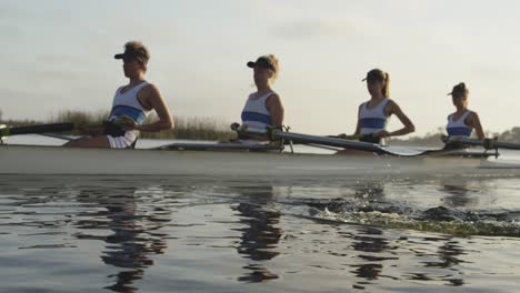 female rowing team training on a river