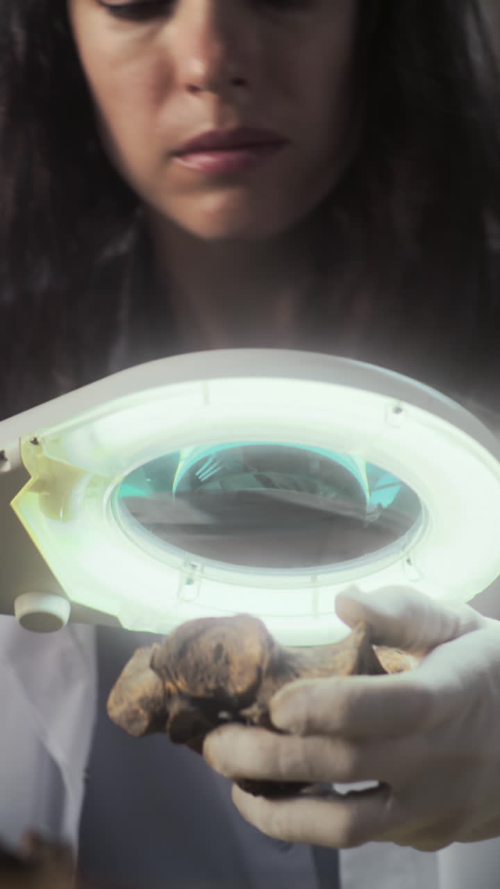 arqueólogo examinando un fósil