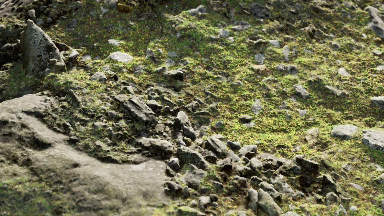 Rocky Terrain with Moss
