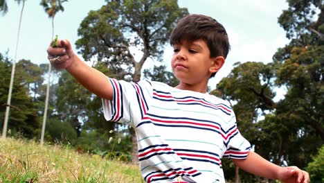 boy playing with soil in park