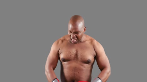 Agressive-boxer-posing-for-camera-