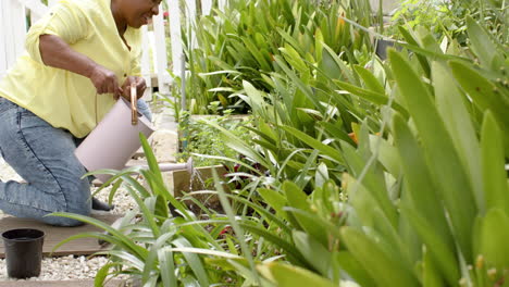 Glückliche-Afroamerikanische-Seniorin,-Die-Pflanzen-Gießt-Und-Im-Sonnigen-Garten-Lächelt,-Zeitlupe