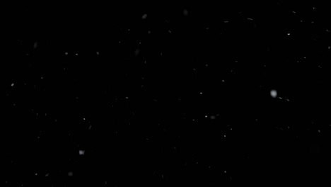 windy snow sweeps across the landscape, swirling flakes in a dance; a cold embrace that blankets the earth, transforming it into a winter wonderland.