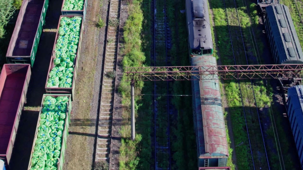 Trains move along tracks in a train yard with cargo and greenery