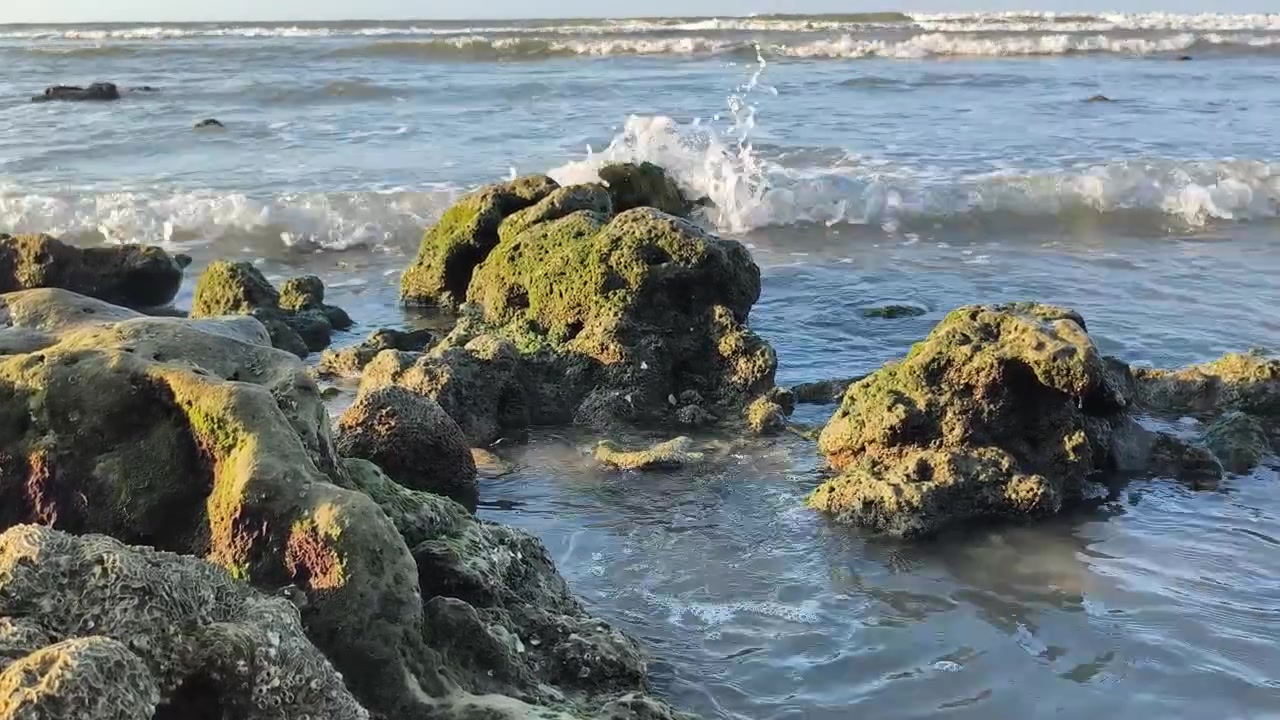 Onde Oceaniche che Lambiscono Delicatamente Rocce Muschiose sulla Riva
