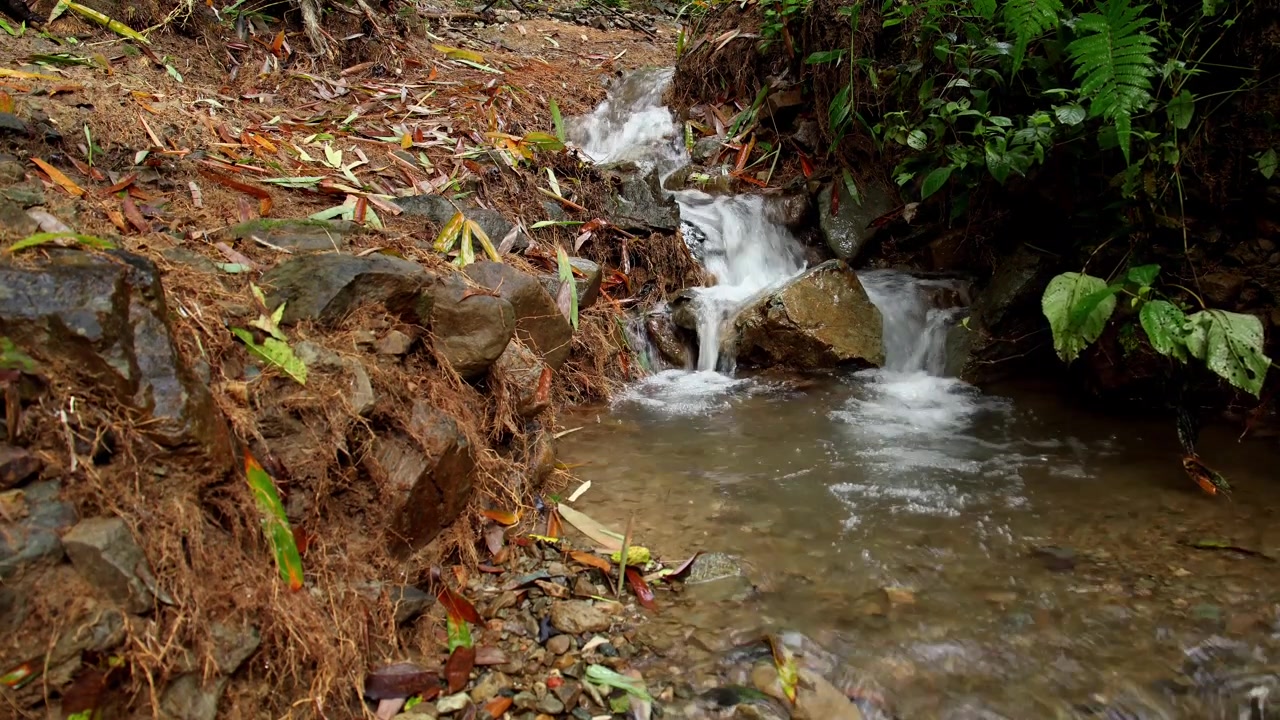 This closeup video showcases pristine crystal clear spring water flowing naturally over mountain rocks within a Himalayan stream in Himachal Pradesh, India.