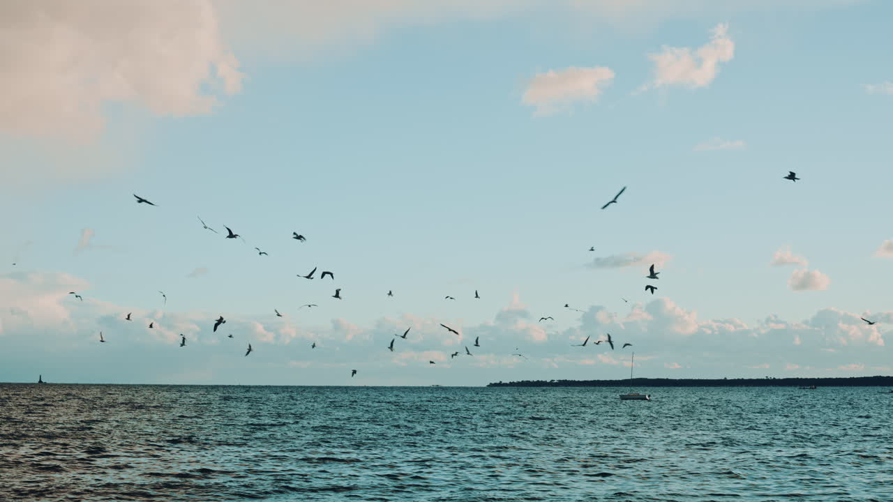 Row of tall palm trees standing against a dramatic sky filled with large clouds