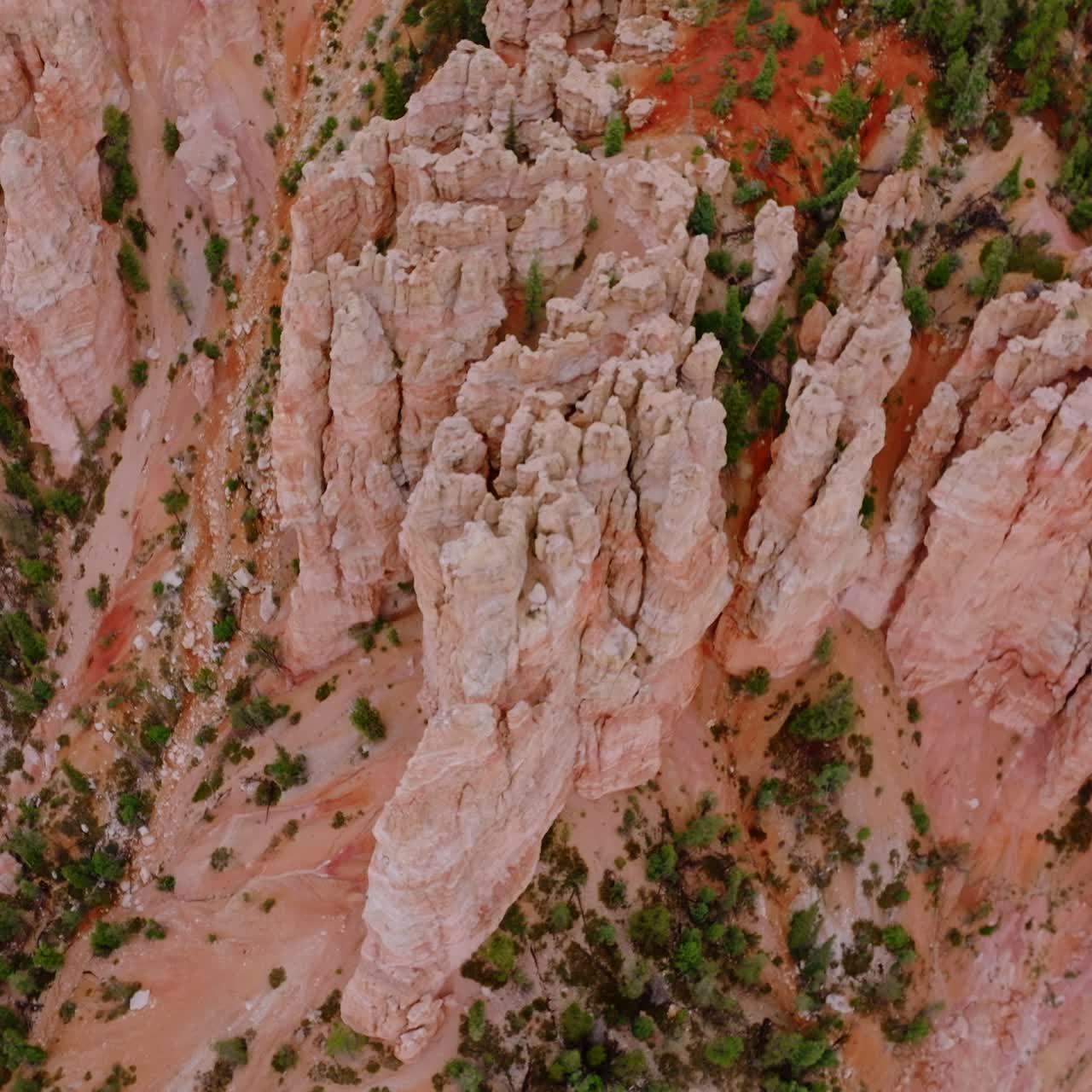 Bryce Canyon National park amazing rocks at daytime. Numerous pine trees growing among the cliffs. Aerial perspective