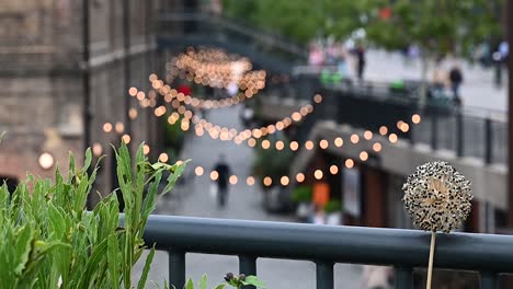 flower and bokah by coal drops yard, london, united kingdom