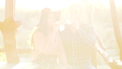 couple in vineuard clinking glasses with wine