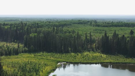 Lager-Im-Wald-Aufschlagen