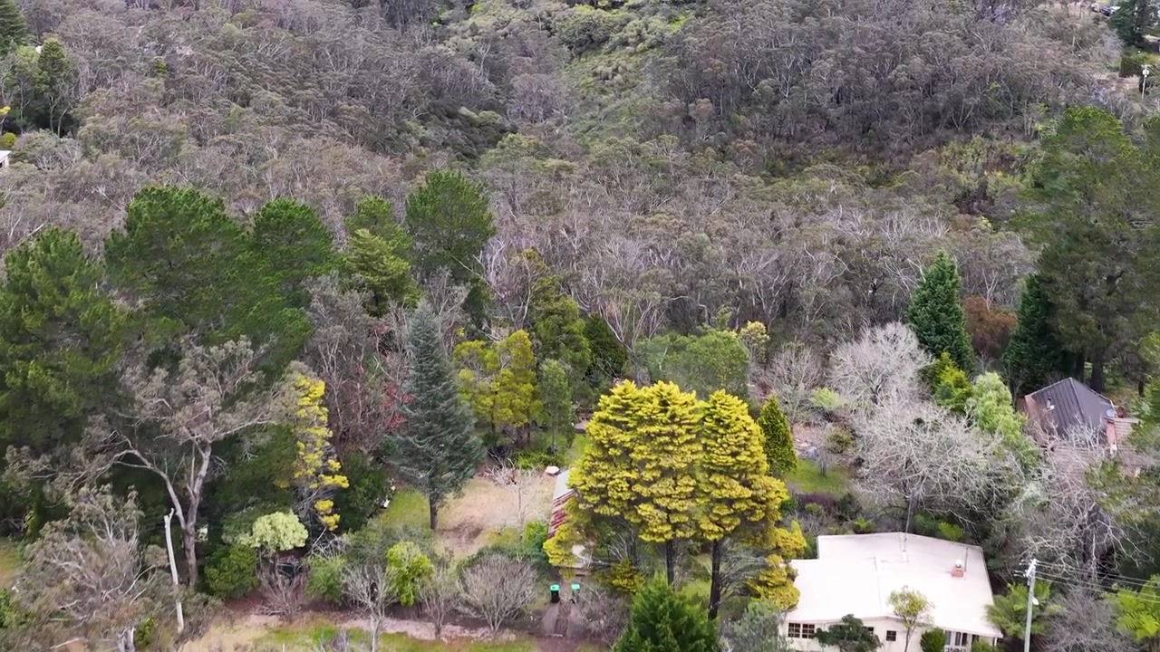 Vue par drone inclinant vers le haut, des toits résidentiels à une forêt dense d'eucalyptus en Australie