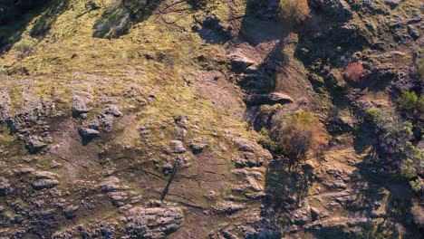 Male-Hiker-Aerial-on-a-Rock-Bluff-Trail-on-Vancouver-Island,-Canada,-Lone-Tree-Hill