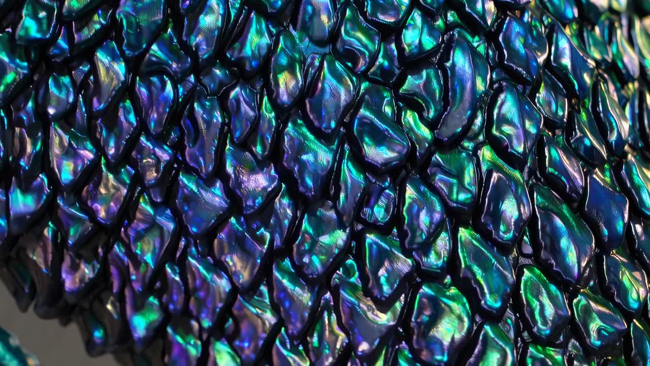 Video ravvicinato di squame iridescenti in vivaci tonalità verdi e blu, che cattura un’ipnotica
