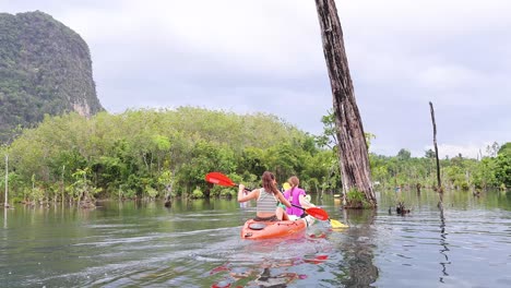 kayakers exploran el pintoresco canal en krabi, tailandia