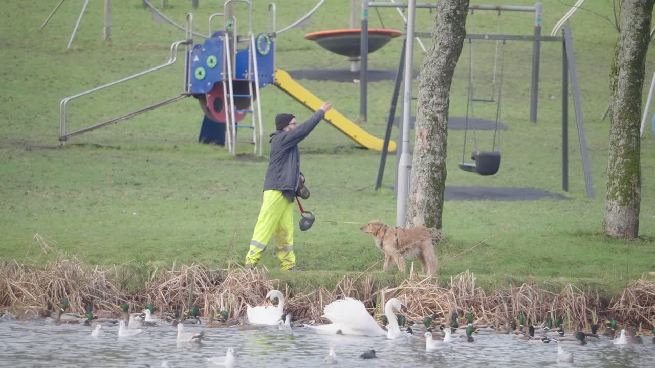 Local sing park location, man, canine companion, birds, pond habitat
